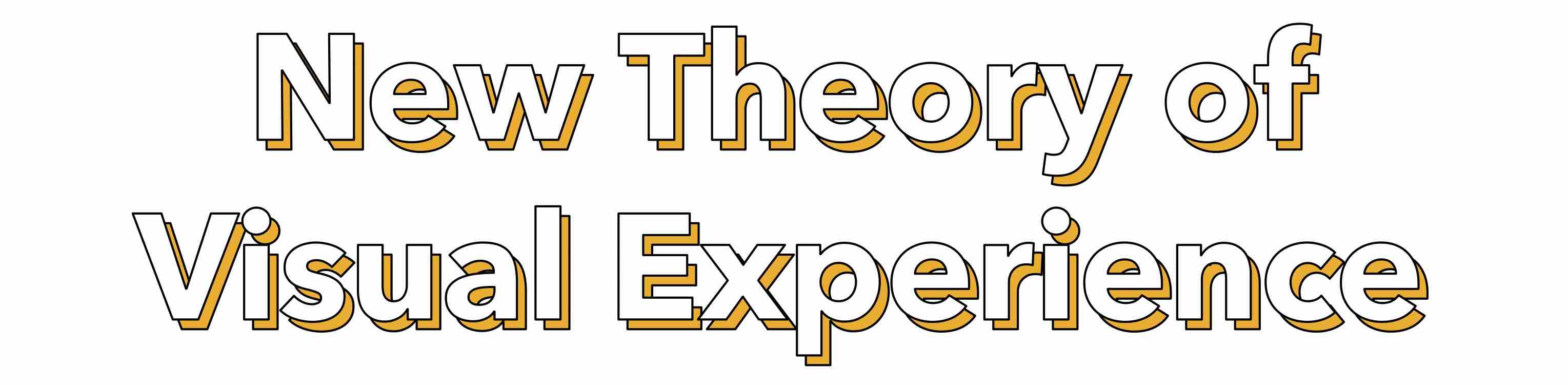 New Theory of Visual Experience